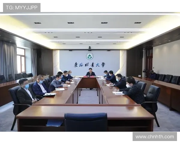 华体会首页的设计理念与用户界面优化探讨